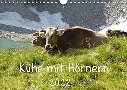 Kalender Kühe mit Hörnern (Wandkalender 2022 DIN A4 quer) von Stefanie Goldscheider