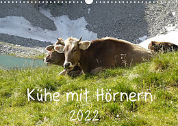 Kalender Kühe mit Hörnern (Wandkalender 2022 DIN A3 quer) von Stefanie Goldscheider