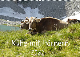 Kalender Kühe mit Hörnern (Wandkalender 2022 DIN A2 quer) von Stefanie Goldscheider
