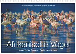 Kalender Afrikanische Vögel (Wandkalender 2022 DIN A3 quer) von Rainer Tewes