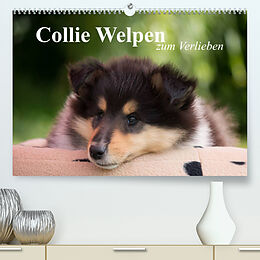 Kalender Collie Welpen zum Verlieben (Premium, hochwertiger DIN A2 Wandkalender 2022, Kunstdruck in Hochglanz) von Thomas Quentin