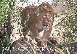 Kalender Raubkatzen Afrikas (Tischkalender 2022 DIN A5 quer) von Andreas Lippmann