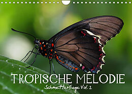 Kalender Tropische Melodie - Schmetterlinge Vol.2 (Wandkalender 2022 DIN A4 quer) von Vronja Photon (Veronika Verenin)