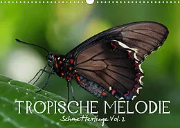 Kalender Tropische Melodie - Schmetterlinge Vol.2 (Wandkalender 2022 DIN A3 quer) von Vronja Photon (Veronika Verenin)