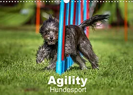 Kalender Agility Hundesport (Wandkalender 2022 DIN A3 quer) von Jörg Teckentrup