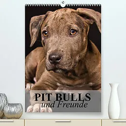 Kalender Pit Bulls und Freunde (Premium, hochwertiger DIN A2 Wandkalender 2022, Kunstdruck in Hochglanz) von Elisabeth Stanzer