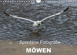 Kalender Spontane Fotografie - Möwen (Wandkalender 2022 DIN A4 quer) von Melanie MP