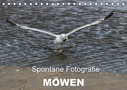 Kalender Spontane Fotografie - Möwen (Tischkalender 2022 DIN A5 quer) von Melanie MP
