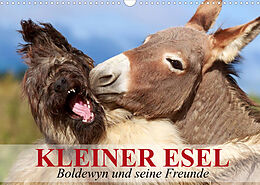 Kalender Kleiner Esel. Boldewyn und seine Freunde (Wandkalender 2022 DIN A3 quer) von Elisabeth Stanzer