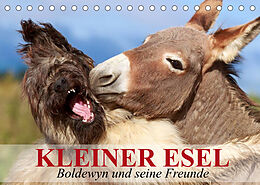 Kalender Kleiner Esel. Boldewyn und seine Freunde (Tischkalender 2022 DIN A5 quer) von Elisabeth Stanzer