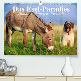 Kalender Das Esel-Paradies - Hunde und andere Feunde (Premium, hochwertiger DIN A2 Wandkalender 2022, Kunstdruck in Hochglanz) von Elisabeth Stanzer