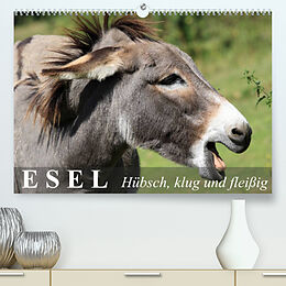 Kalender Esel - hübsch, klug und fleißig (Premium, hochwertiger DIN A2 Wandkalender 2022, Kunstdruck in Hochglanz) von Elisabeth Stanzer