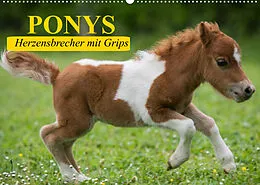 Kalender Ponys. Herzensbrecher mit Grips (Wandkalender 2022 DIN A2 quer) von Elisabeth Stanzer