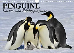 Kalender Pinguine - Kaiser- und Königspinguine (Wandkalender 2022 DIN A4 quer) von Elisabeth Stanzer