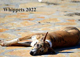 Kalender Whippet 2022AT-Version (Wandkalender 2022 DIN A3 quer) von Ula Redl