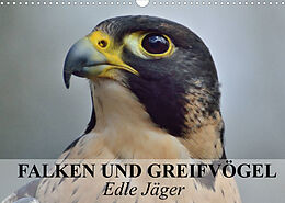 Kalender Falken und Greifvögel. Edle Jäger (Wandkalender 2022 DIN A3 quer) von Elisabeth Stanzer