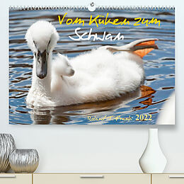 Kalender Vom Küken zum SchwanAT-Version (Premium, hochwertiger DIN A2 Wandkalender 2022, Kunstdruck in Hochglanz) von Roland T. Frank