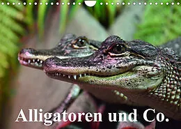 Kalender Alligatoren und Co. (Wandkalender 2022 DIN A4 quer) von Elisabeth Stanzer
