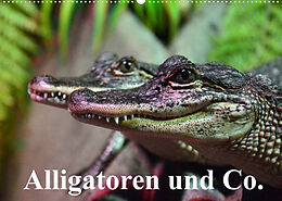 Kalender Alligatoren und Co. (Wandkalender 2022 DIN A2 quer) von Elisabeth Stanzer