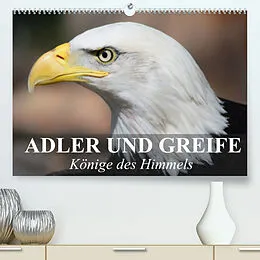 Kalender Adler und Greife - Könige des Himmels (Premium, hochwertiger DIN A2 Wandkalender 2022, Kunstdruck in Hochglanz) von Elisabeth Stanzer