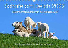 Kalender Schafe am Deich 2022. Tierische Impressionen von der Nordseeküste (Wandkalender 2022 DIN A3 quer) von Steffani Lehmann