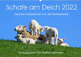 Kalender Schafe am Deich 2022. Tierische Impressionen von der Nordseeküste (Wandkalender 2022 DIN A2 quer) von Steffani Lehmann