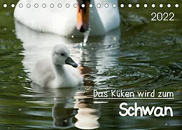 Kalender Das Küken wird zum SchwanCH-Version (Tischkalender 2022 DIN A5 quer) von Roland T. Frank