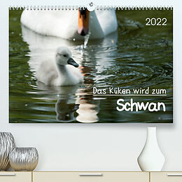 Kalender Das Küken wird zum SchwanCH-Version (Premium, hochwertiger DIN A2 Wandkalender 2022, Kunstdruck in Hochglanz) von Roland T. Frank