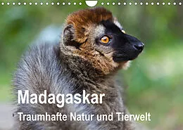 Kalender Madagaskar. Traumhafte Natur und Tierwelt (Wandkalender 2022 DIN A4 quer) von Sabine Reuke
