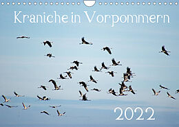 Kalender Kraniche in Vorpommern (Wandkalender 2022 DIN A4 quer) von Siegfried Reinhold