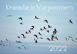 Kalender Kraniche in Vorpommern (Wandkalender 2022 DIN A2 quer) von Siegfried Reinhold