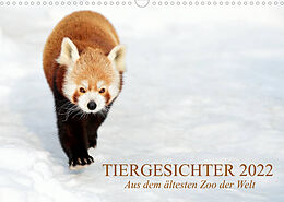 Kalender Tiergesichter 2022 (Wandkalender 2022 DIN A3 quer) von Manfred Stotz
