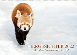 Kalender Tiergesichter 2022 (Wandkalender 2022 DIN A2 quer) von Manfred Stotz