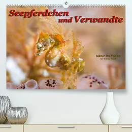 Kalender Seepferdchen und Verwandte (Premium, hochwertiger DIN A2 Wandkalender 2022, Kunstdruck in Hochglanz) von Sidney Smith