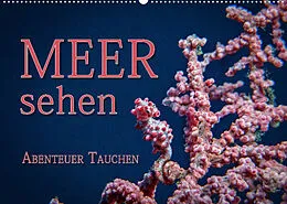 Kalender Meer sehen - Abenteuer Tauchen (Wandkalender 2022 DIN A2 quer) von Dieter Gödecke