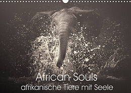 Kalender African Souls - afrikanische Tiere mit Seele (Wandkalender 2022 DIN A3 quer) von Manuela Kulpa