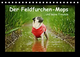Kalender Der Feldfurchen-Mops (Tischkalender 2022 DIN A5 quer) von Kathrin Köntopp