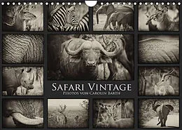 Kalender Safari Vintage (Wandkalender 2022 DIN A4 quer) von Carolin Barth