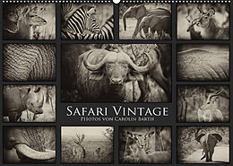 Kalender Safari Vintage (Wandkalender 2022 DIN A2 quer) von Carolin Barth