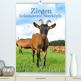 Kalender Ziegen - liebenswerte Sturköpfe (Premium, hochwertiger DIN A2 Wandkalender 2022, Kunstdruck in Hochglanz) von Angela Merk