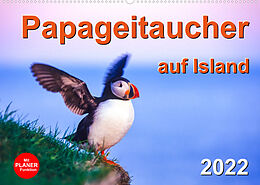 Kalender Papageitaucher auf Island (Wandkalender 2022 DIN A2 quer) von Carola Vahldiek