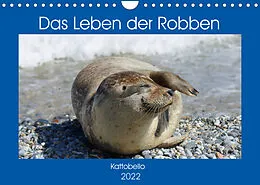 Kalender Das Leben der Robben (Wandkalender 2022 DIN A4 quer) von Kattobello