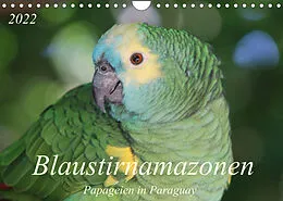 Kalender Blaustirnamazonen - Papageien in Paraguay (Wandkalender 2022 DIN A4 quer) von Bettina Schneider