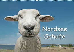 Kalender Nordsee Schafe (Wandkalender 2022 DIN A2 quer) von Andrea Wilken