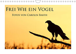 Kalender Frei wie ein Vogel (Wandkalender 2022 DIN A4 quer) von Carolin Barth