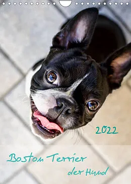 Kalender Boston Terrier der Hund 2022 (Wandkalender 2022 DIN A4 hoch) von Nailia Schwarz