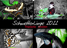 Kalender Schmetterlinge 2022 - Tropische Juwelen (Wandkalender 2022 DIN A2 quer) von © Mirko Weigt, Hamburg