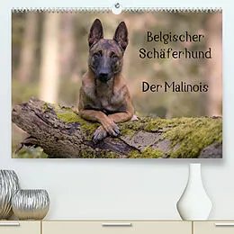 Kalender Belgischer Schäferhund - Der Malinois (Premium, hochwertiger DIN A2 Wandkalender 2022, Kunstdruck in Hochglanz) von Tanja Brandt