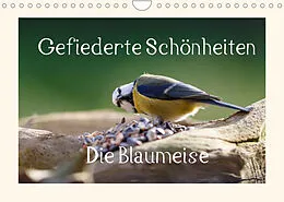 Kalender Gefiederte Schönheiten - Die Blaumeise (Wandkalender 2022 DIN A4 quer) von Rolf Pötsch