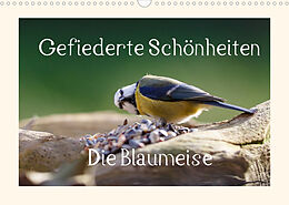 Kalender Gefiederte Schönheiten - Die Blaumeise (Wandkalender 2022 DIN A3 quer) von Rolf Pötsch